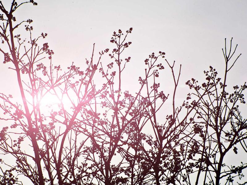 sudoku all ages screenshot 6