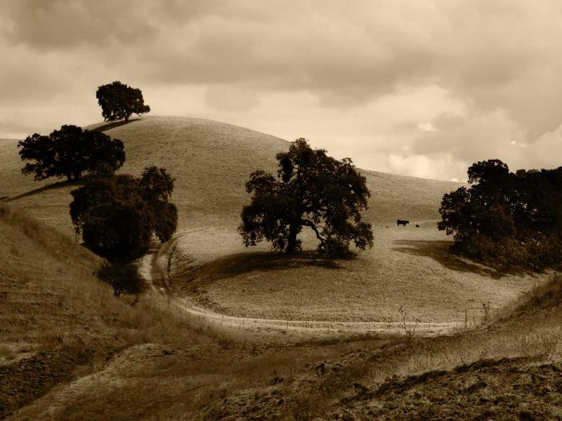 sudoku all ages screenshot 5