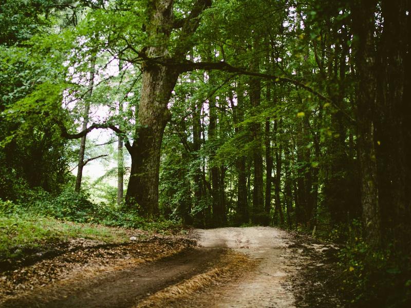 sudoku all ages screenshot 1