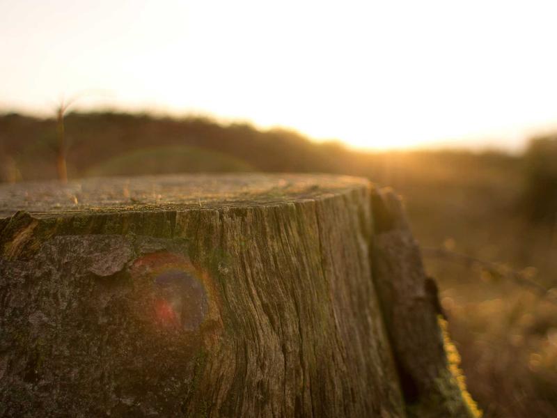 sudoku brain exercise screenshot 1